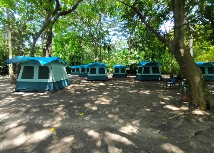 Happy Camping Arrecifes Dentro Del Parque Nacional Natural Tayrona