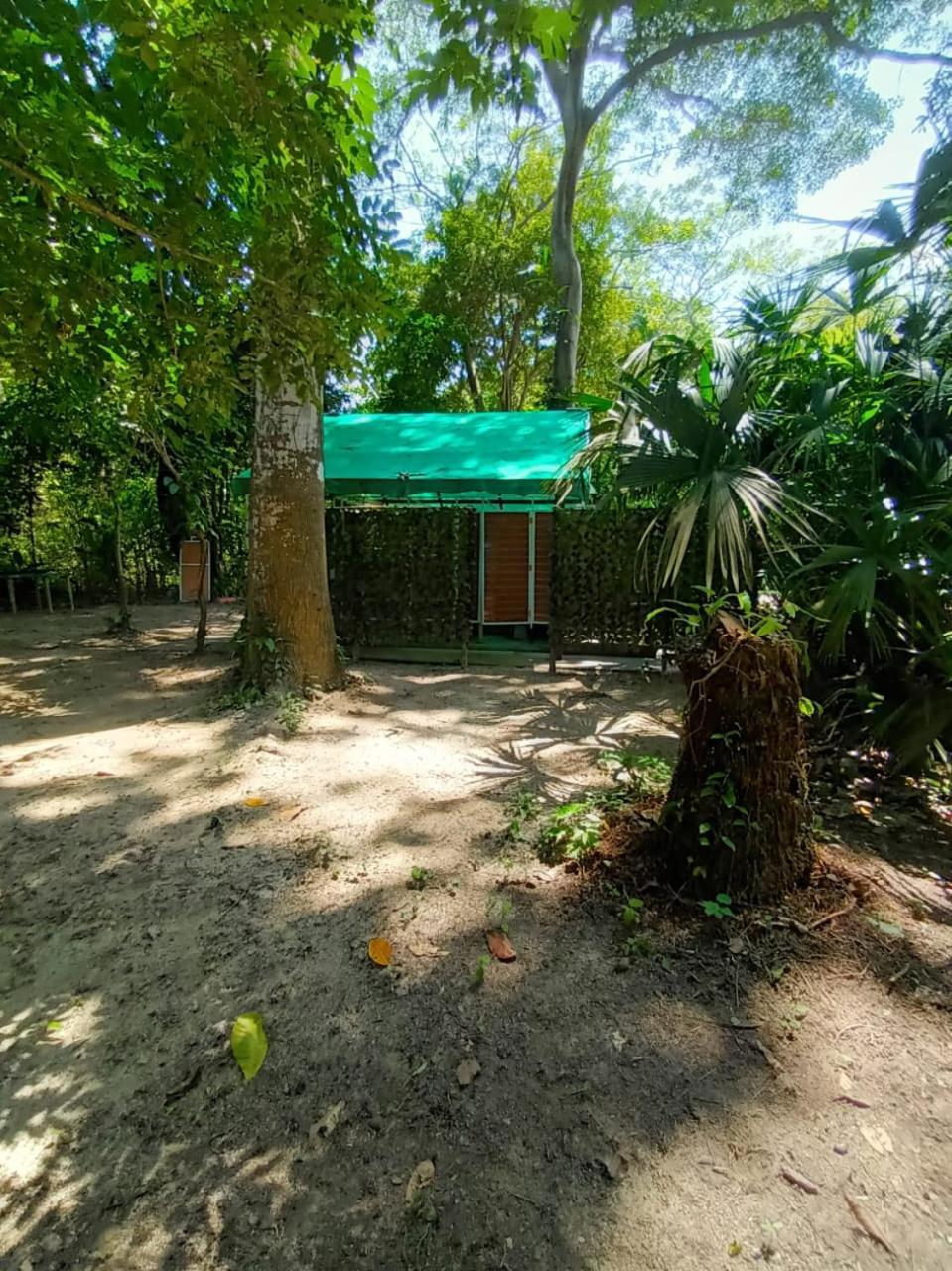 Happy Arrecifes Dentro Del Parque Nacional Natural Tayrona Luxury tent El Coquito